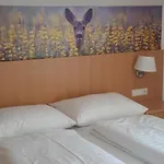 Appartement Wegscheider *